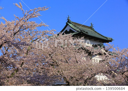 Scenery with cherry blossoms Scenery with cherry blossoms 139500684