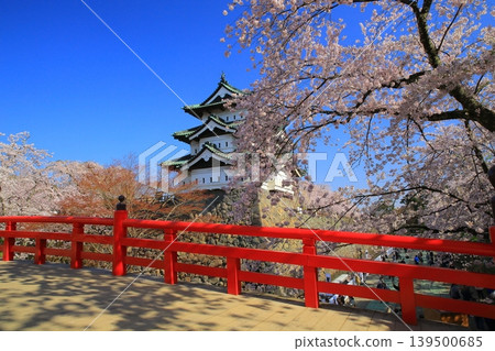 Scenery with cherry blossoms 139500685