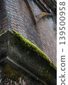 An old red brick building that evokes a sense of history, with moss growing densely along its edges. 139500958
