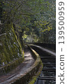 A tranquil waterway landscape surrounded by lush nature and stone walls covered in green moss. 139500959