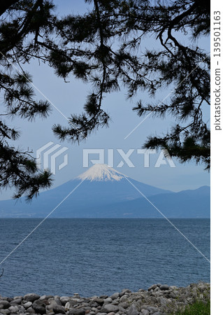 Mount Fuji from Mihama Cape Mount Fuji from Mihama Cape 139501163