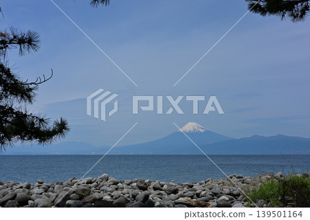 從美濱岬眺望富士山 139501164