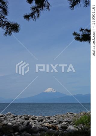 從美濱岬眺望富士山 從美濱岬眺望富士山 139501165