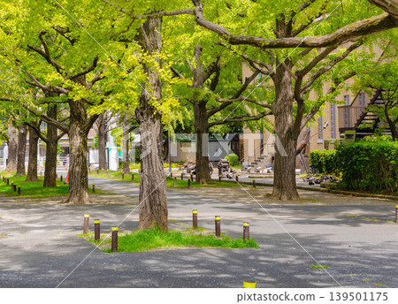東京都江東區 東京都江東區 139501175