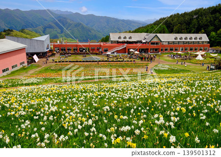 Norn Minakami Flower Garden 1 Norn Minakami Flower Garden 1 139501312