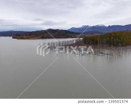 <Bird's-eye view> Lake Shuparo and summer frost-covered trees <Bird's-eye view> Lake Shuparo and summer frost-covered trees 139501374