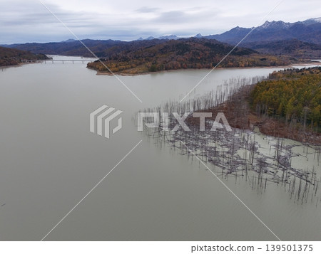 <Bird's-eye view> The tranquil Lake Shuparo and the dead trees standing there. <Bird's-eye view> The tranquil Lake Shuparo and the dead trees standing there. 139501375
