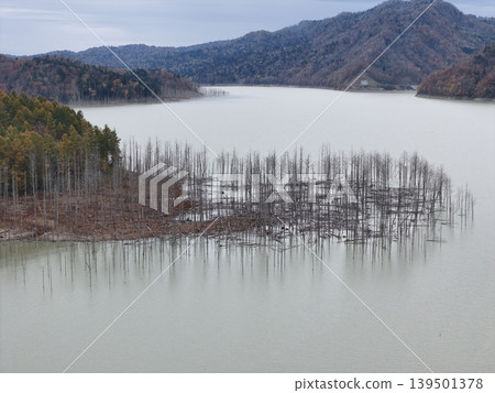 <Bird's-eye view> A tranquil lake and summer frost-covered trees <Bird's-eye view> A tranquil lake and summer frost-covered trees 139501378