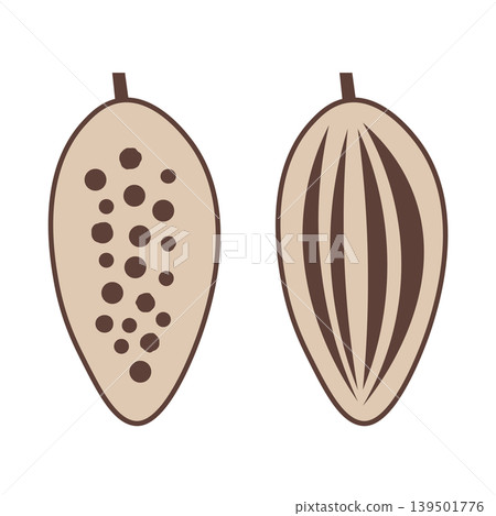 Simple illustration set of cocoa beans and their cross-sections - Chocolate raw material Simple illustration set of cocoa beans and their cross-sections - Chocolate raw material 139501776