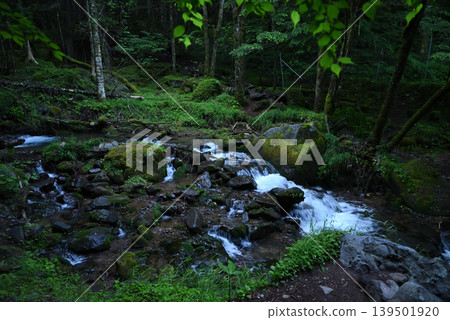 赤岳和八岳登山,長野縣,山梨縣 赤岳和八岳登山,長野縣,山梨縣 139501920