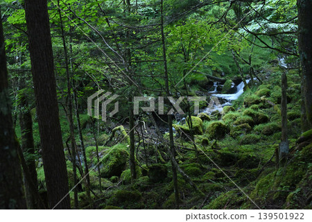 Mt. Akadake and Yatsugatake Mountain Climbing, Nagano Prefecture, Yamanashi Prefecture 139501922