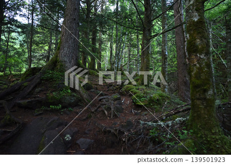 Mt. Akadake and Yatsugatake Mountain Climbing, Nagano Prefecture, Yamanashi Prefecture Mt. Akadake and Yatsugatake Mountain Climbing, Nagano Prefecture, Yamanashi Prefecture 139501923