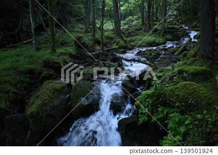 Mt. Akadake and Yatsugatake Mountain Climbing, Nagano Prefecture, Yamanashi Prefecture 139501924