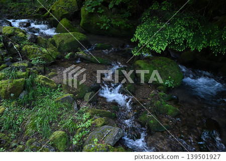 Mt. Akadake and Yatsugatake Mountain Climbing, Nagano Prefecture, Yamanashi Prefecture Mt. Akadake and Yatsugatake Mountain Climbing, Nagano Prefecture, Yamanashi Prefecture 139501927