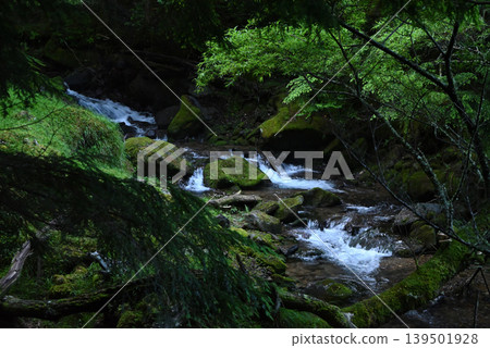 Mt. Akadake and Yatsugatake Mountain Climbing, Nagano Prefecture, Yamanashi Prefecture Mt. Akadake and Yatsugatake Mountain Climbing, Nagano Prefecture, Yamanashi Prefecture 139501928