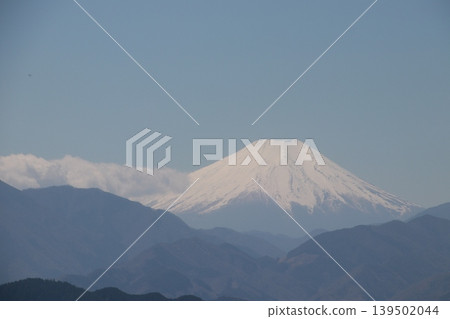 Mt. Fuji and cherry blossoms seen from the top of Mt. Takao 139502044