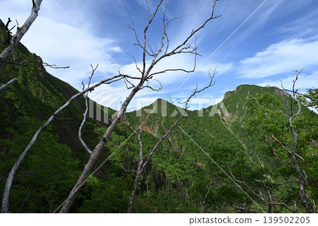 赤岳和八岳登山,長野縣,山梨縣 赤岳和八岳登山,長野縣,山梨縣 139502205