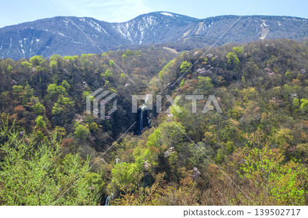 Springtime at Sankai Falls Springtime at Sankai Falls 139502717