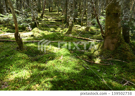 赤岳和八岳登山,長野縣,山梨縣 赤岳和八岳登山,長野縣,山梨縣 139502738