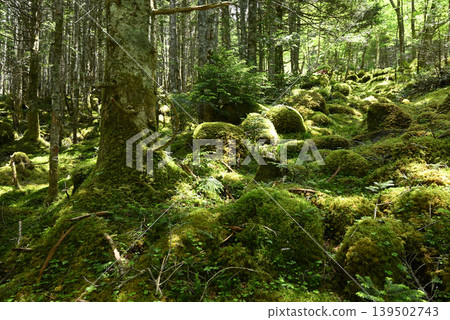 赤岳和八岳登山,長野縣,山梨縣 赤岳和八岳登山,長野縣,山梨縣 139502743