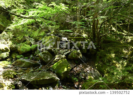 赤岳和八岳登山,長野縣,山梨縣 赤岳和八岳登山,長野縣,山梨縣 139502752