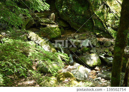 赤岳和八岳登山,長野縣,山梨縣 赤岳和八岳登山,長野縣,山梨縣 139502754