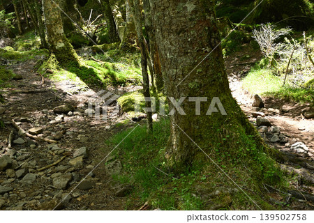 赤岳和八岳登山,長野縣,山梨縣 赤岳和八岳登山,長野縣,山梨縣 139502758