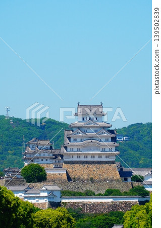 Himeji castle   139502839