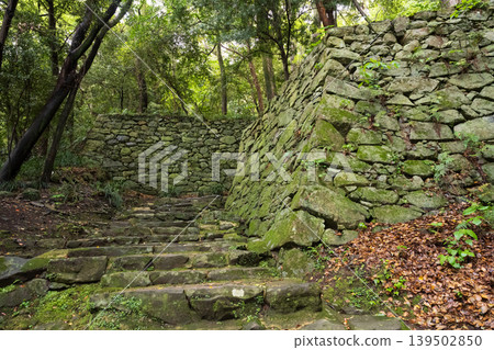 Uwajima Castle, Ehime Prefecture 139502850