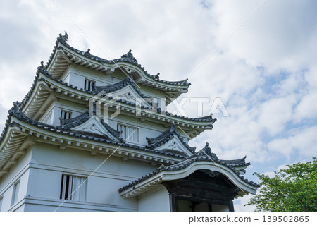 Uwajima Castle, Ehime Prefecture Uwajima Castle, Ehime Prefecture 139502865