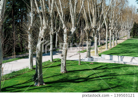 Tree Lined Gardens of Campo del Moro in Madrid Spain Tree Lined Gardens of Campo del Moro in Madrid Spain 139503121