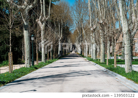 Tree Lined Gardens of Campo del Moro in Madrid Spain 139503122