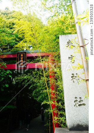 Komiya Shrine Komiya Shrine 139503328