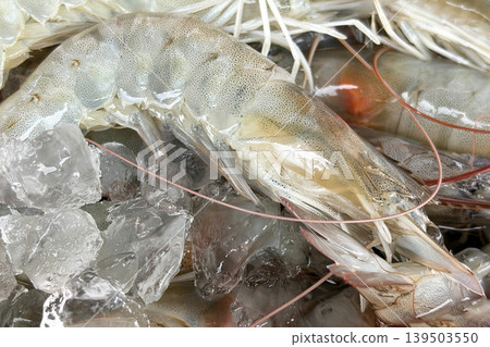Top view of close up fresh prawns displayed on wet market. Seafood concept. Top view of close up fresh prawns displayed on wet market. Seafood concept. 139503550