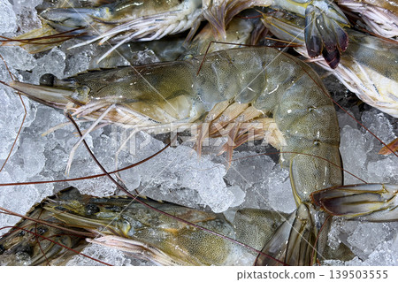 Top view of prawns displayed on wet market. Seafood concept. 139503555