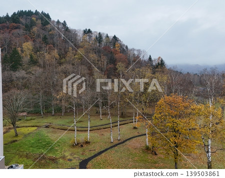 <Drone footage> Landscape of a birch forest in Hokkaido <Drone footage> Landscape of a birch forest in Hokkaido 139503861