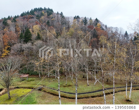 <空拍圖> 秋日美景,山巒披上五彩斑斕的樹葉,白樺林鬱鬱蔥蔥。 <空拍圖> 秋日美景,山巒披上五彩斑斕的樹葉,白樺林鬱鬱蔥蔥。 139503868