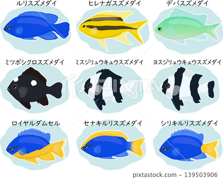 A set of damselfish with names. A set of damselfish with names. 139503906