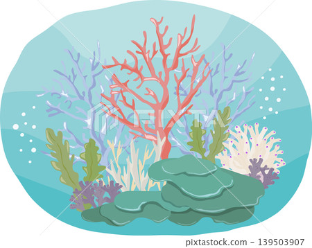 Coral reefs in the sea 139503907
