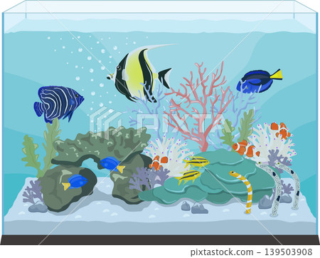 saltwater fish tank saltwater fish tank 139503908