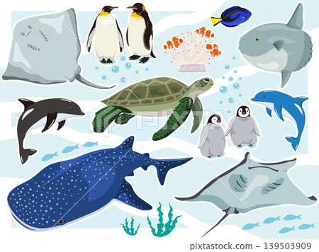 Aquarium Set Aquarium Set 139503909