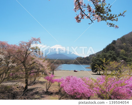 山梨縣：春日景緻，精進湖與富士山交相輝映，山中彷彿藏著嬰兒的頭（四月） 139504054