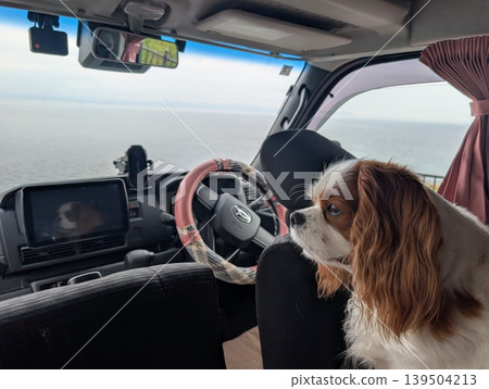 一隻查理王小獵犬坐在迷你露營車裡欣賞風景。 139504213