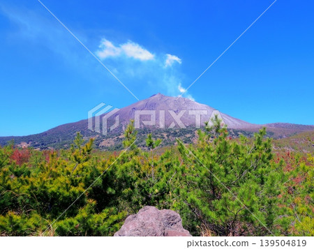 Minamidake peak as seen from the Sakurajima Arimura Lava Observatory (Kagoshima City, Kagoshima Prefecture) Minamidake peak as seen from the Sakurajima Arimura Lava Observatory (Kagoshima City, Kagoshima Prefecture) 139504819
