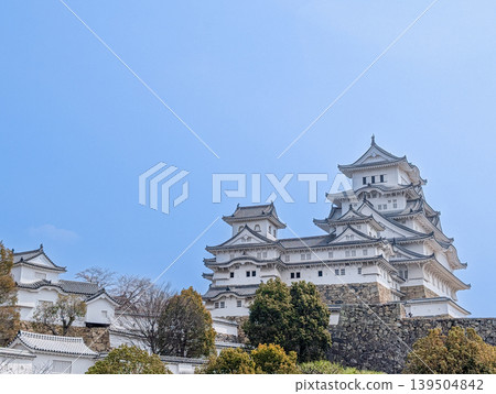 兵庫縣姬路市姬路城塔 兵庫縣姬路市姬路城塔 139504842