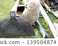 Tools used at construction sites 139504874