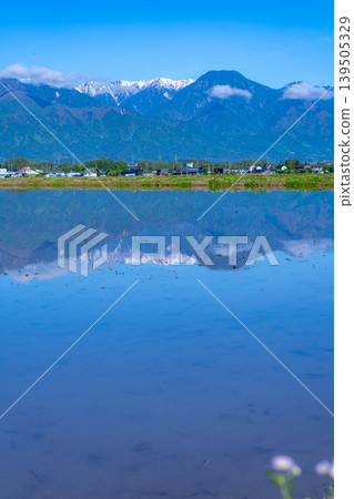 [Early Summer Scenery] A giant water mirror appears in Azumino in early summer [Nagano Prefecture] 139505329