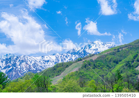 [Early Summer Scenery] Mountainous landscape of Hakuba Village with fresh green leaves, as seen from Hakuba Ohashi Bridge [Nagano Prefecture] 139505410