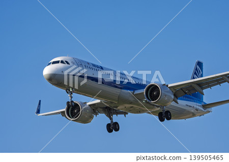 Airplane landing at Sendai Airport in the afternoon, Natori City, Miyagi Prefecture 139505465