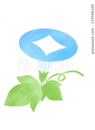 Watercolor illustration of morning glories in light blue Watercolor illustration of morning glories in light blue 139506160